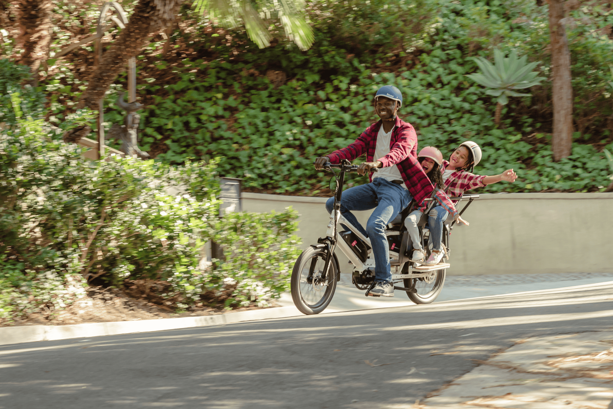Electric Bike in Forest Guide ≫ Find E Bikes on National Forest Trails ...