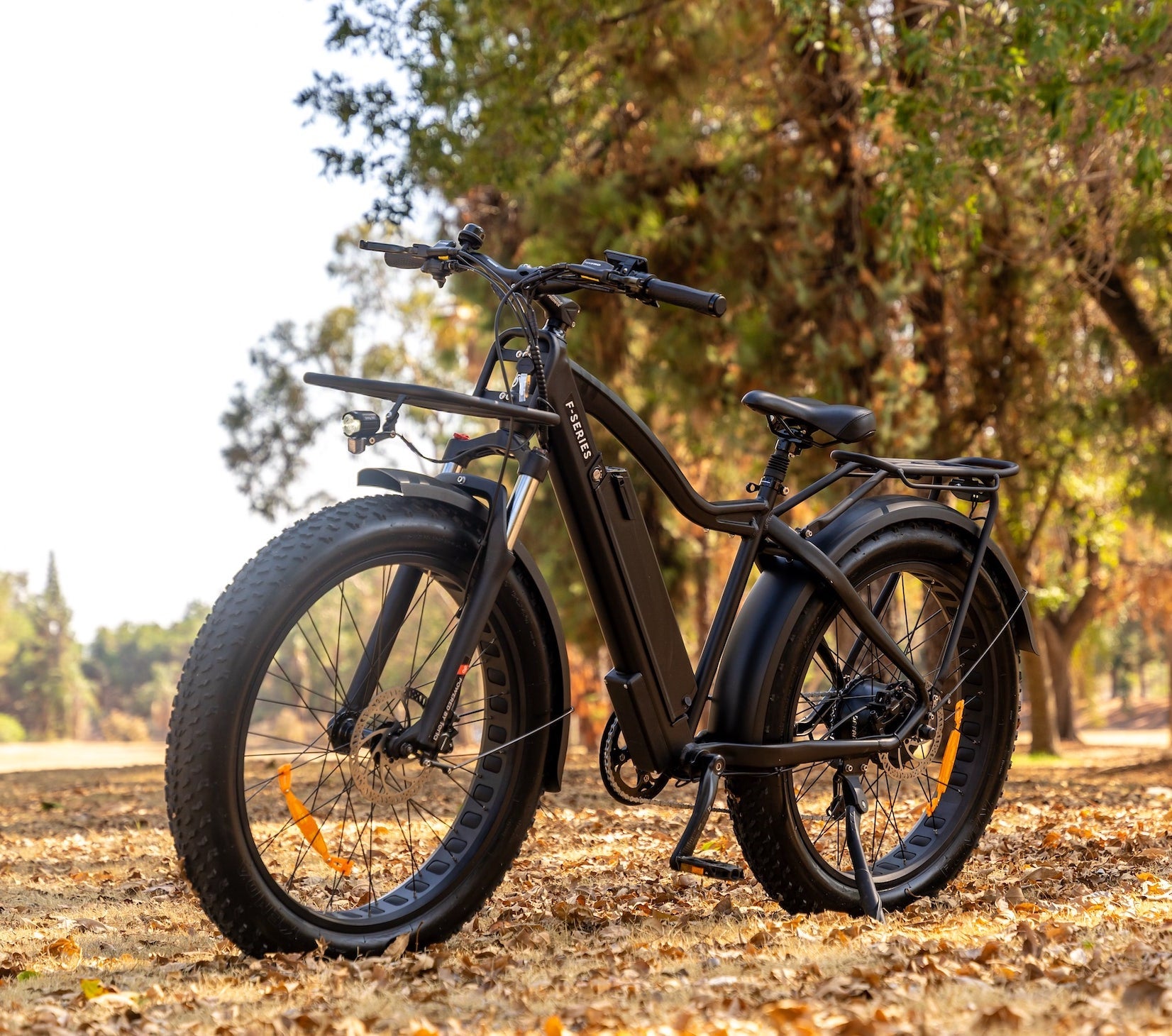 Avant Bikes FX 750